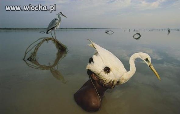 Dobry kamuflaż 