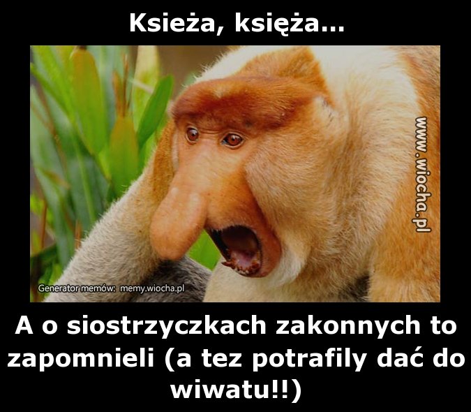 Ksieża, księża...