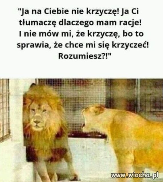 Dyskusja