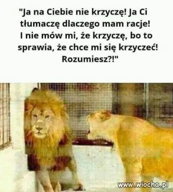 Dyskusja