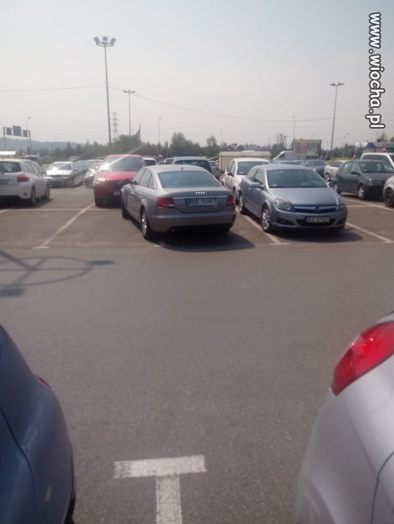 Burak pod galerią plaza Rzeszów