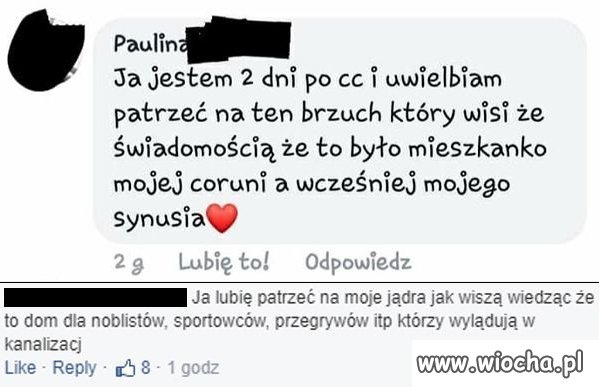 Pojechane