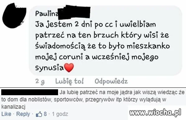 Pojechane