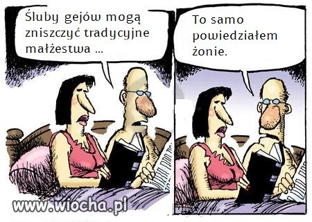 Wina gejów