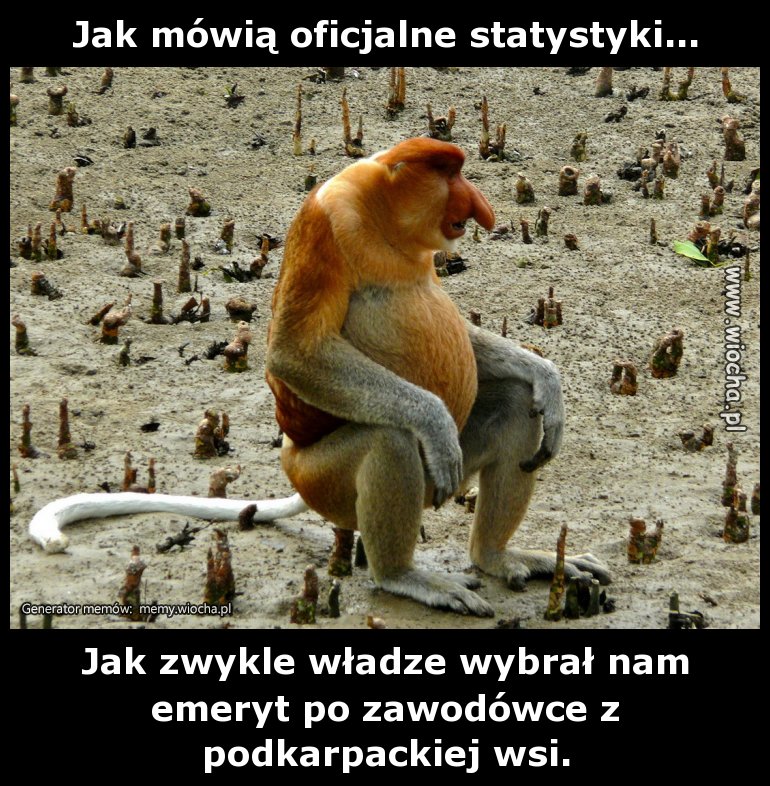 Jak mówią oficjalne statystyki...