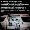 Tak powinno