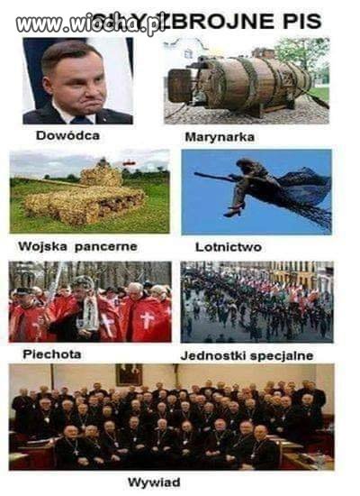 Siły zbrojne pis 