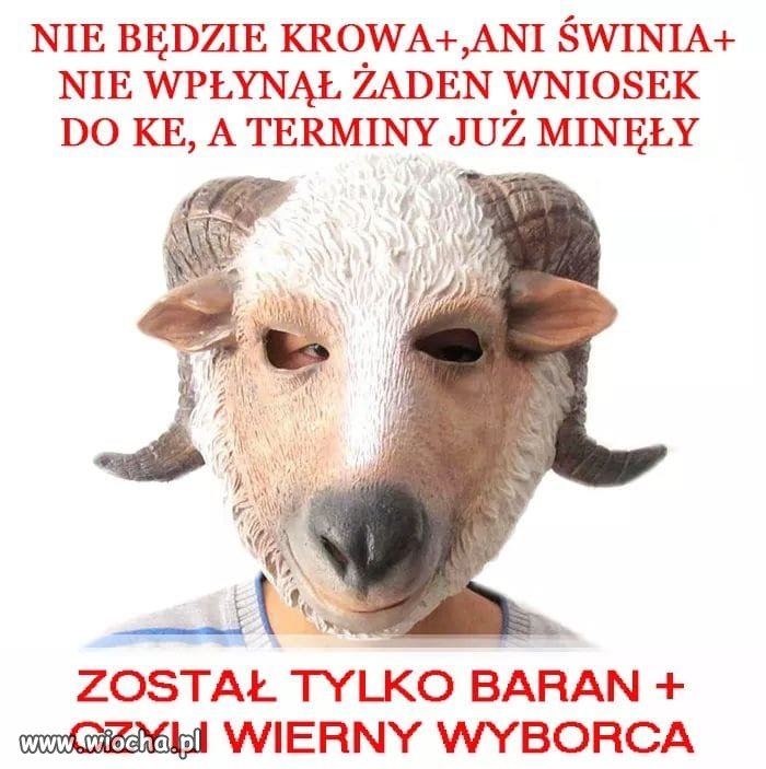 No, przecież to oczywista oczywistość ...