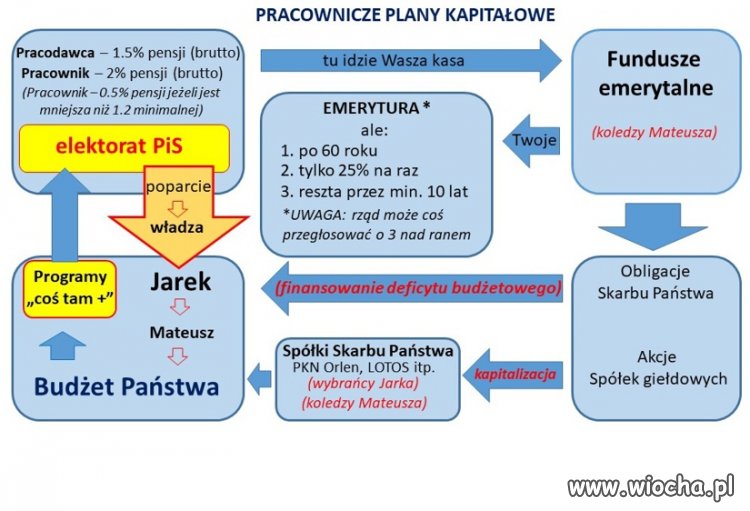 Pracownicze Plany Kapitałowe