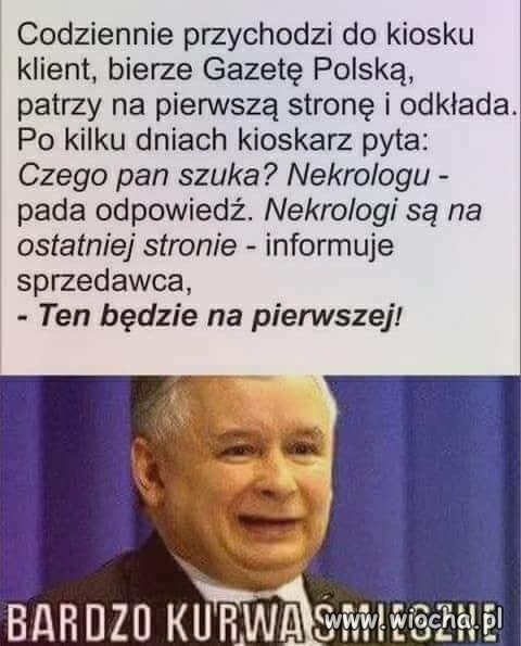 Niewątpliwie