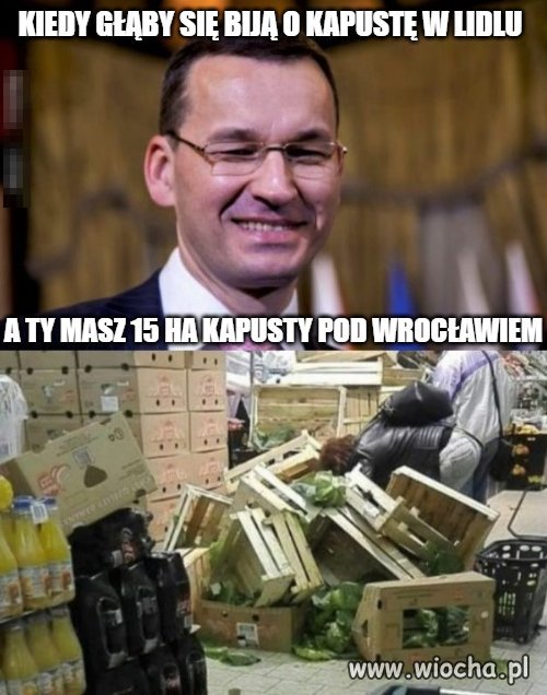 Tyle w temacie