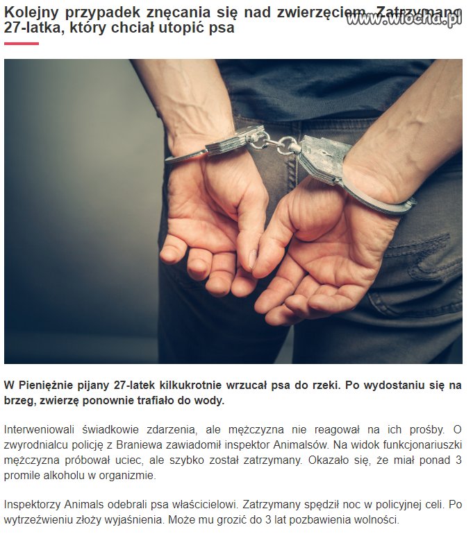 3 promile na wsi -> pisowski katolik patriota