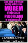 Co zrobić, tylko patrzeć jak legną plackiem.