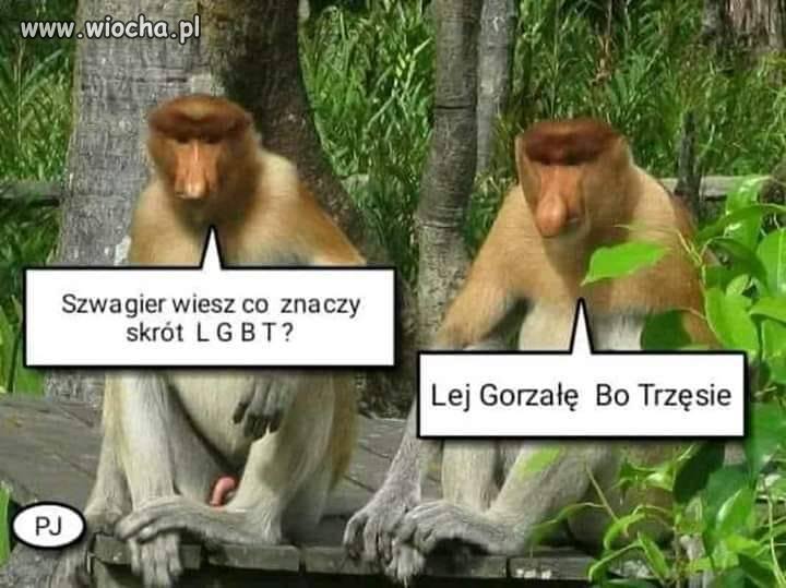 Sprawa się wyjaśniła