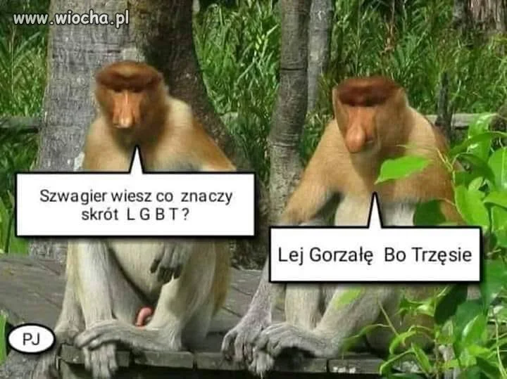 Sprawa się wyjaśniła