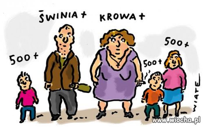 Przeciętna rodzina wyborców pis