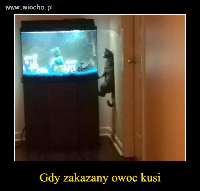 Bo to co zakazane smakuje najlepiej