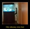 Bo to co zakazane smakuje najlepiej