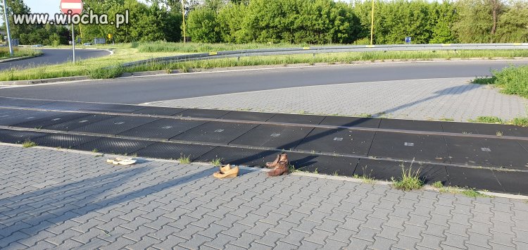 Bogactwo skurwesy**