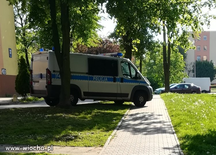 Popisowe parkowanie Piotrkowskiej policji
