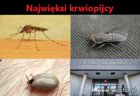 Co prawda,