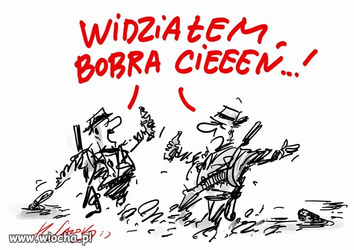 Leśny hit