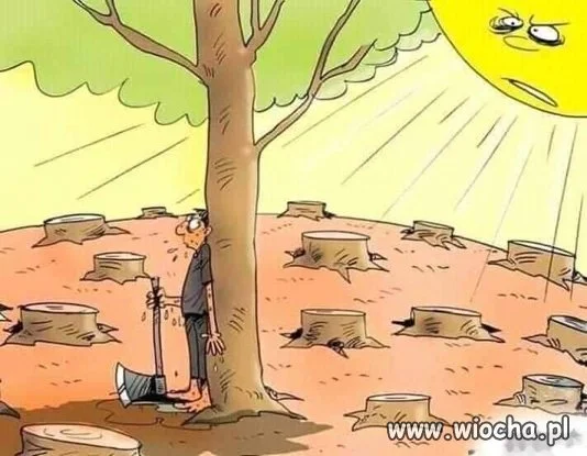 Betonujmy miasta dalej