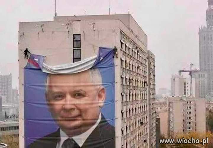 Założę się