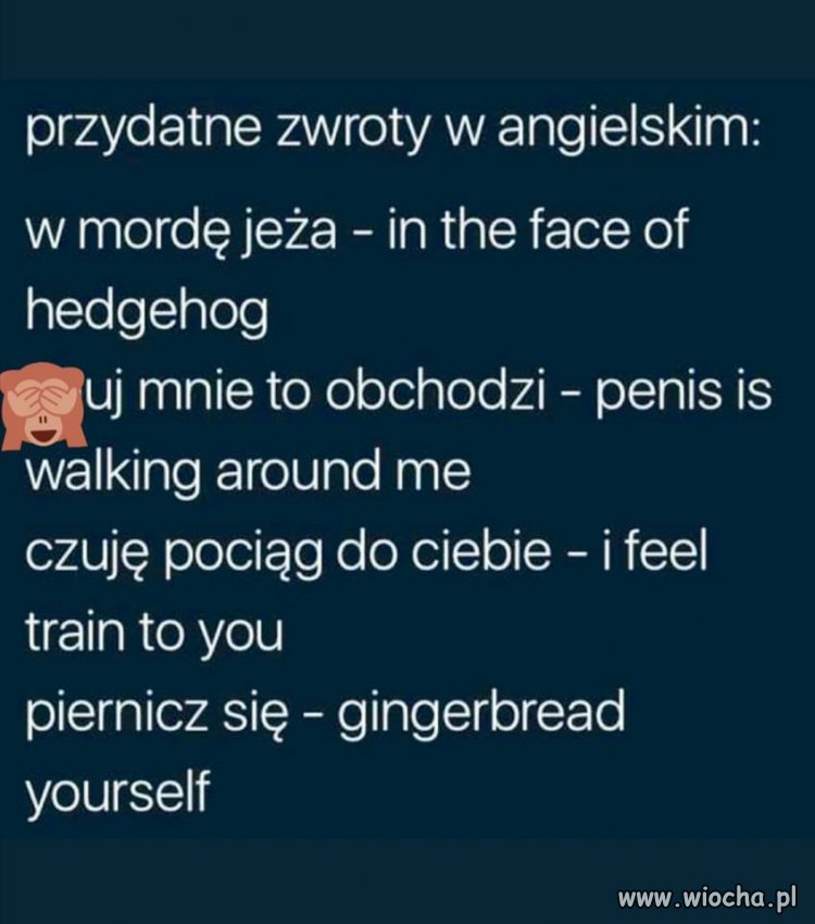 Krótka ściąga dla PiSowskich europarlamentarzystów