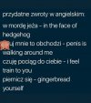 Krótka ściąga dla PiSowskich europarlamentarzystów
