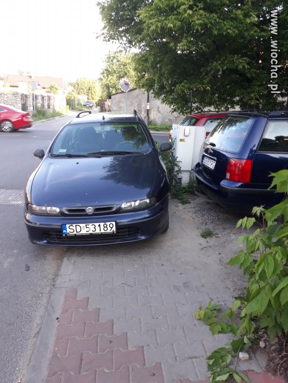 Dąbrowa Górnicza 