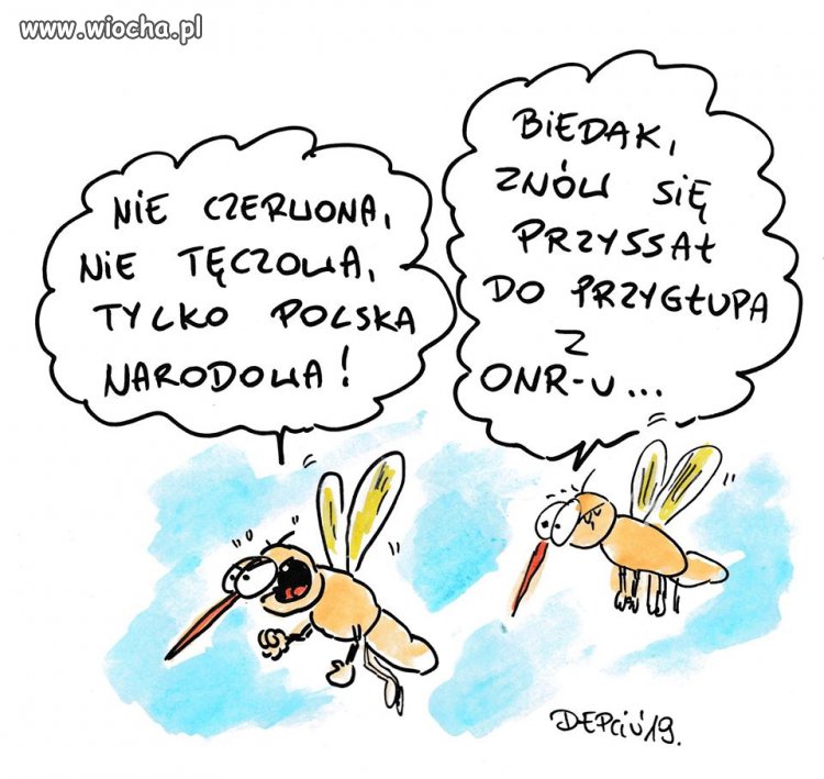 Źle wycelował