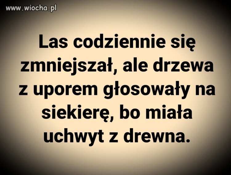 Znajoma