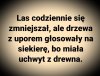 Znajoma