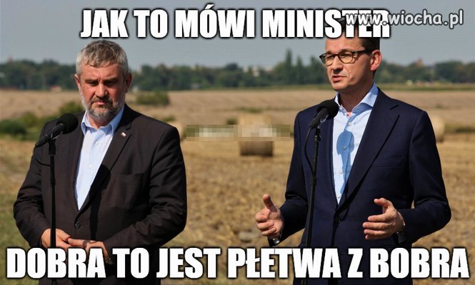 Płetwa z bobra