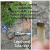 Zakazana a z każdej perspektywy lepsza