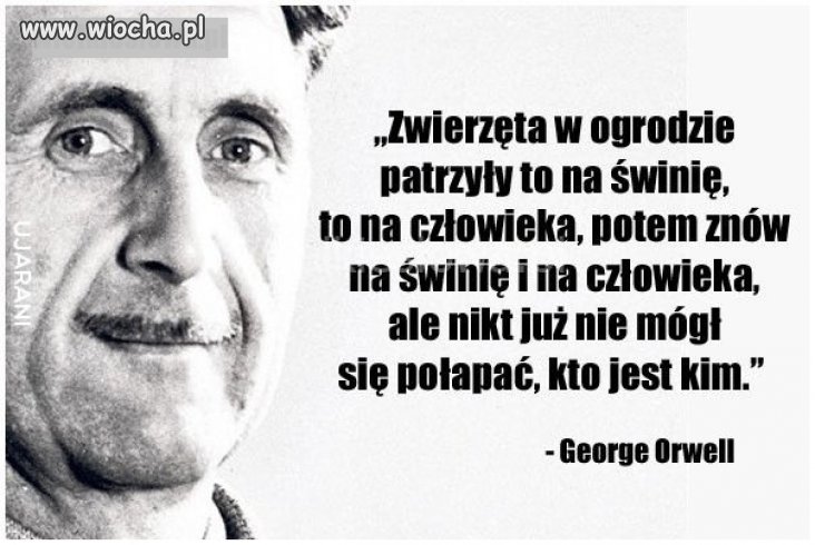 Heheszki polityczne