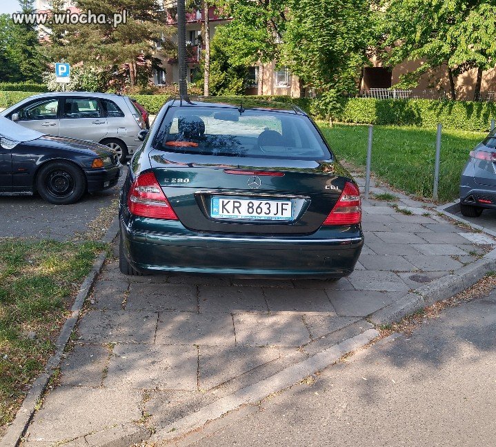 Święta krowa