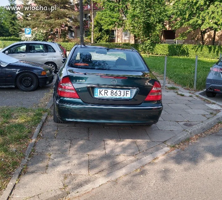 Święta krowa