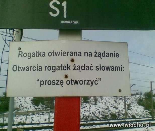 A jak rogatka