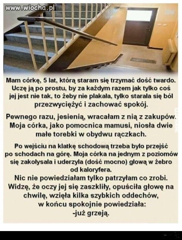 Mały twardziel