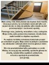Mały twardziel