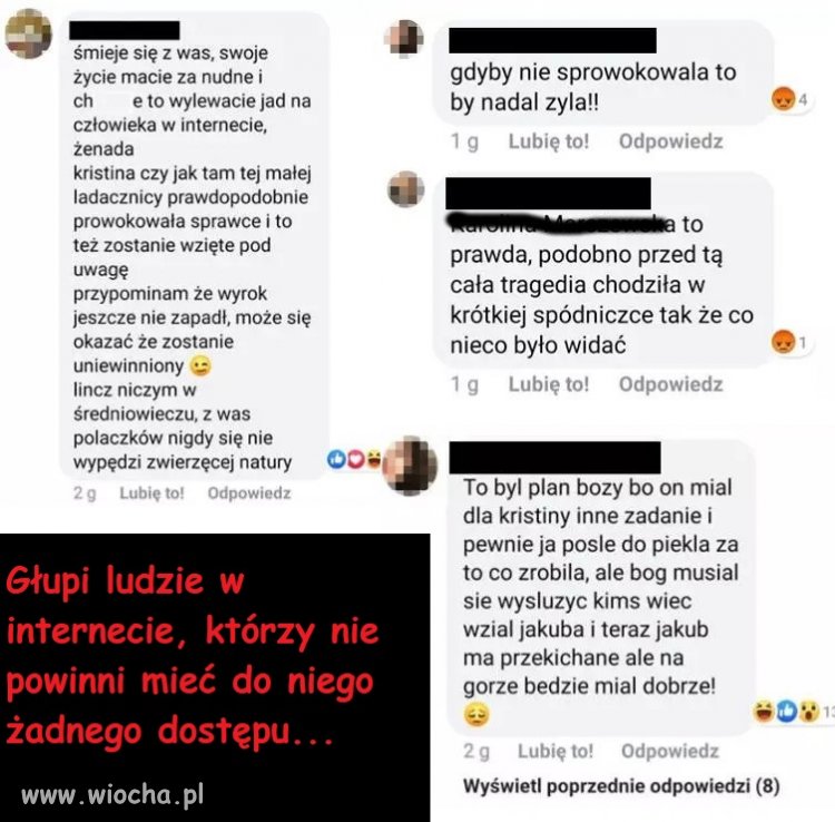Komentarze na temat sprawy Kristiny...