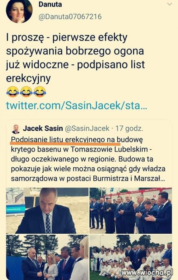 Efekty bobra