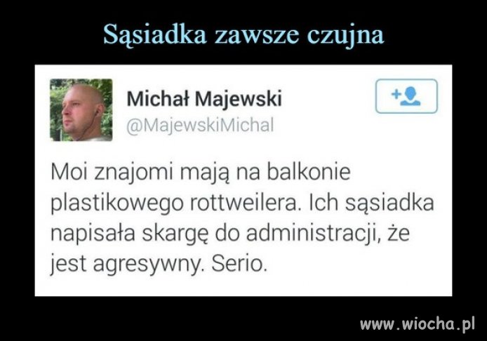 Plastikowy pies