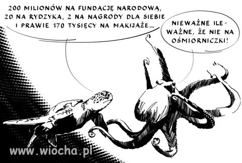 Ośmiorniczek brak