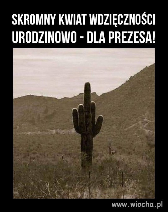 Kwiaty dla prezesa muszą być...