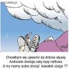 Równo podzielone.