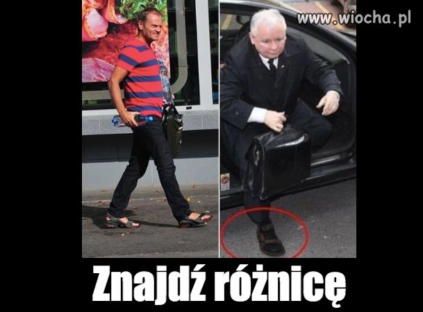 Lato, lato wszędzie!