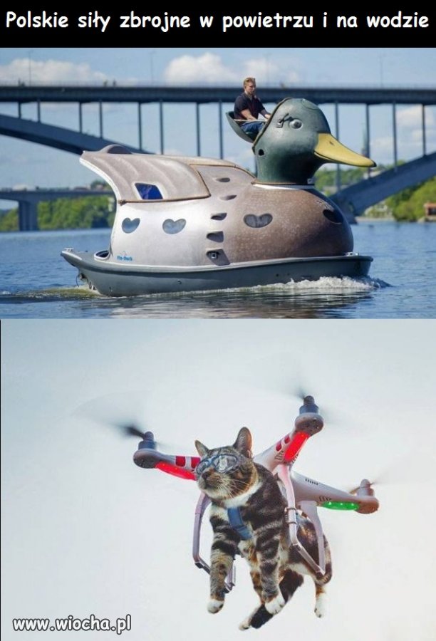 Pewnie Wojska Obrony Terytorialnej się zbroją